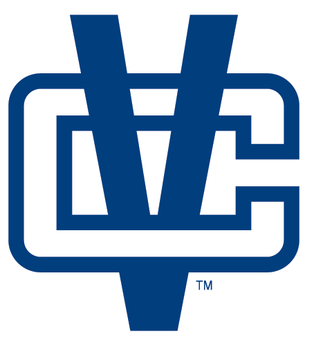 Vancouver Canucks 2008 Unused Logo DIY iron on transfer (heat transfer)